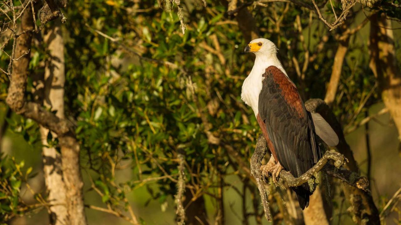 Kwalucia Private Safari Retreat Hotell Saint Lucia Estuary Eksteriør bilde