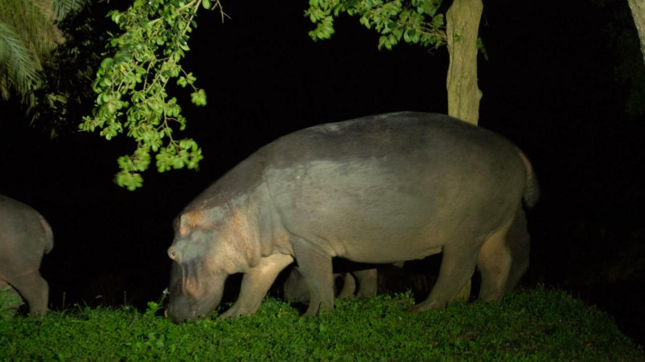 Kwalucia Private Safari Retreat Hotell Saint Lucia Estuary Eksteriør bilde